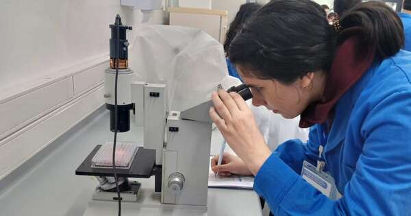 La Nación / Ofrecen oportunidades de formación en biotecnología