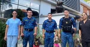 La Nación / Canes de la agrupación especializada donaron sangre al banco veterinario y salvarán vidas