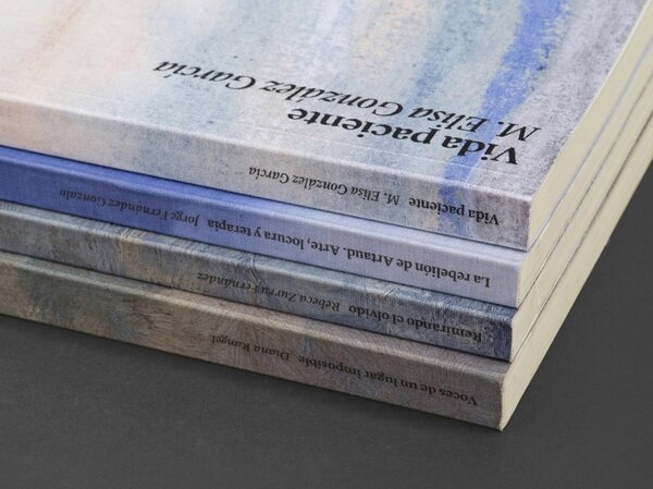 Premio internacional de investigación y ensayo del Centro de Arte Fundación María José Jove