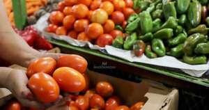 La Nación / MAG no ampliará plazo para importar tomate: “Hay mucha oferta local”