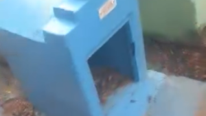 Macumba en cementerio de Itauguá: dejan animal envuelto en cuero fresco en un nicho