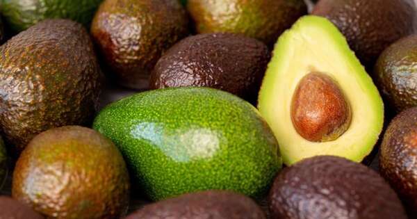 La Nación / Producción de aguacate se expande a nivel local, impulsada por el consumo