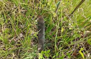 Cambyretá: Hombre fue asesinado por su hijastro con un machete | Unicanal