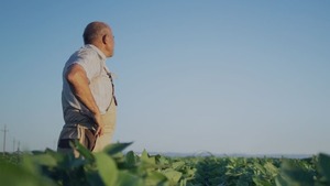 Liderazgo y cultura como palancas para innovar en el agro paraguayo desde la mirada de PwC Paraguay
