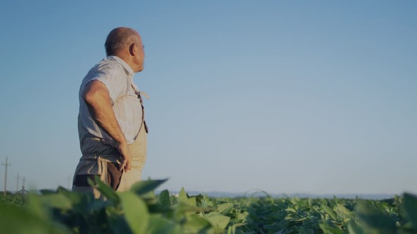 Liderazgo y cultura como palancas para innovar en el agro paraguayo desde la mirada de PwC Paraguay