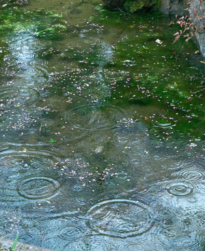 Persiste la inestabilidad: Se esperan lluvias y tormentas eléctricas hasta el jueves