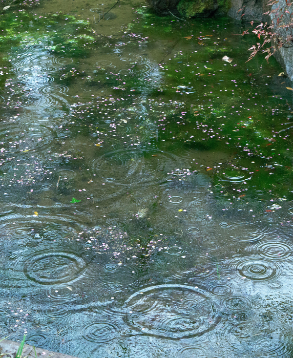 Persiste la inestabilidad: Se esperan lluvias y tormentas eléctricas hasta el jueves