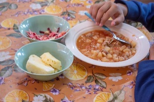 Paro docente frena entrega de Hambre Cero en el país