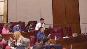 Pedido de interpelación a titular de IPS se tratará la próxima semana