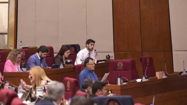 Pedido de interpelación a titular de IPS se tratará la próxima semana