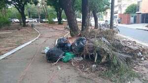 La Plaza Manuel Ortiz Guerrero y José Asunción Flores refleja una imagen de abandono total - Nacionales - ABC Color