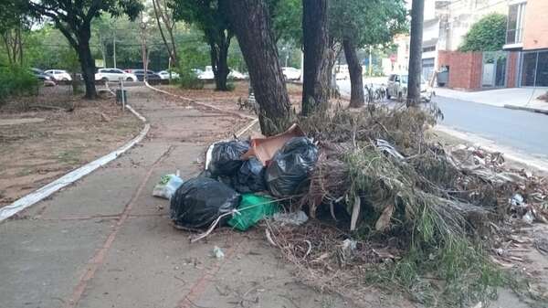 La Plaza Manuel Ortiz Guerrero y José Asunción Flores refleja una imagen de abandono total - Nacionales - ABC Color