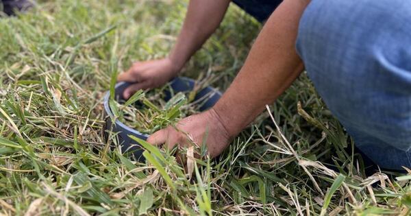 La Nación / Paraguay es sede de cumbre agrícola entre Corea y América Latina