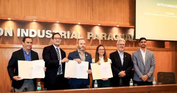 La Nación / Crean Capadeco para impulsar el mercado de créditos de carbono en Paraguay