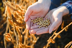 Costos y clima presionan la rentabilidad del campo