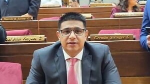 Para diputado, Peña debió destituir a titular de Petropar