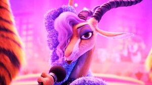 Ciclo de películas nominadas al Oscar