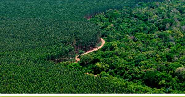 Diario HOY | Paracel: BID invertirá USD 165 millones y generará 7.000 empleos