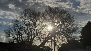 Anuncian miércoles con ambiente caluroso, húmedo y probabilidad de lluvias en gran parte del país - ADN Digital