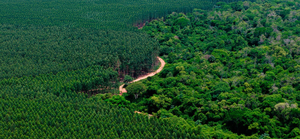 BID invertirá USD 165 millones y generará 7.000 empleos en Paraguay