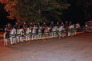 Policía desplegará operativo de seguridad para acompañar marcha docente