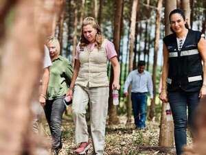 Adjudican licitación para diseño y construcción de Hospital General de San Estanislao