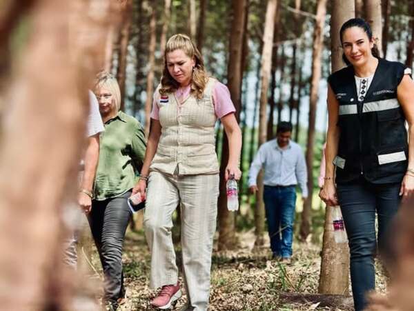 Adjudican licitación para diseño y construcción de Hospital General de San Estanislao