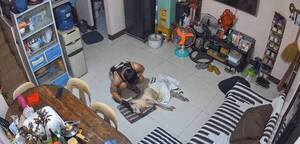 [VIDEO] ¡Lo más triste que verás hoy! Perdió a su compañero de más de 15 años