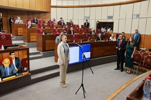 Guadalupe Aveiro juró como senadora en lugar de Erico Galeano