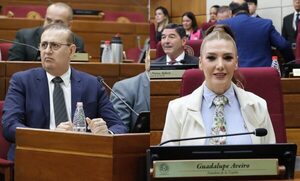 Senado concede permiso a Erico Galeano: asumió la banca Guadalupe Aveiro - trece