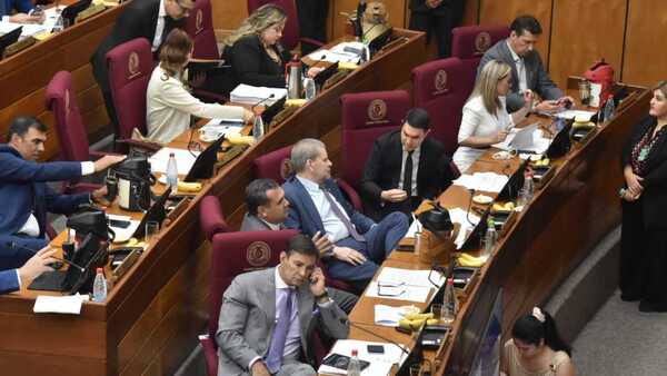 En vivo: Senado trata reforma de la Caja Fiscal
