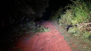 Rama de eucalipto cayó sobre un motociclista y le mató