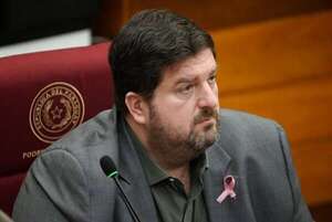 Video: Kemper trató de “maricón” a Filizzola durante sesión del Senado - Política - ABC Color