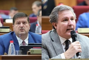 Cruce en Senado: Kemper y Filizzola protagonizan tensión