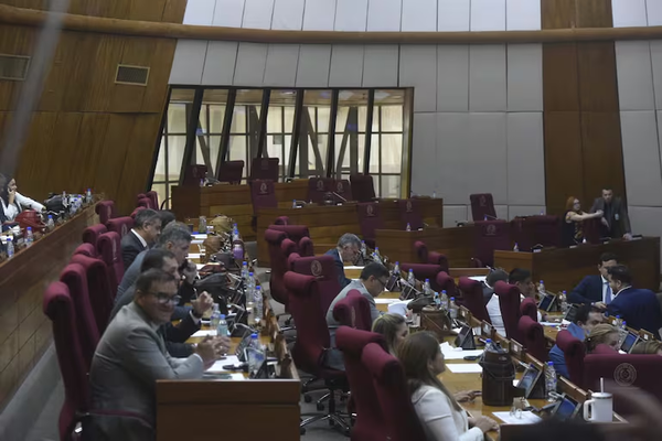 En Diputados no tratarán reforma de la Caja Fiscal mañana - Noticiero Paraguay