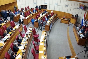 Senado ratifica pena máxima de 15 años para menores infractores - ADN Digital