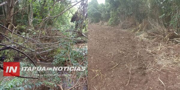 DENUNCIAN GRAVE DELITO AMBIENTAL EN ITAPÚA POTY