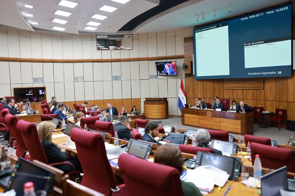 Senado insiste en 15 años de pena máxima para adolescentes