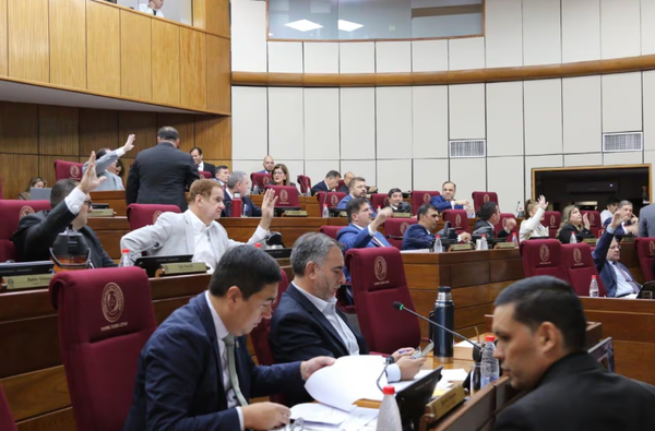 Senado eleva pena máxima para menores y rechaza reducción de Diputados