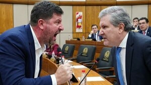 "¿Vos me decís burro? Vení, decime acá..." le gritó senador colo'o a su colega Filizzola