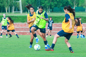 Ensayo táctico en el CARFEM