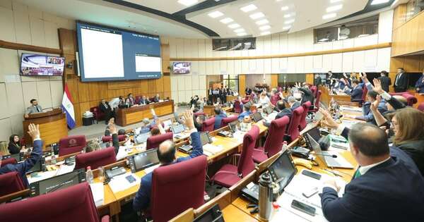 La Nación / “La ley que hoy aprobamos es infinitamente mejor”, asegura senador