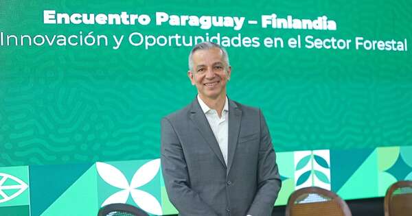 La Nación / Finlandia puede aportar tecnología y conocimiento a toda la cadena forestal