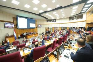 Caja fiscal: aprueban con modificaciones proyecto - San Lorenzo Hoy