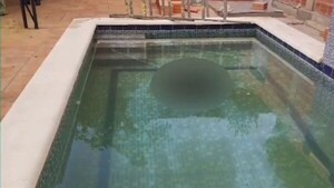 Albañil es hallado sin vida en piscina de una casaquinta en MRA
