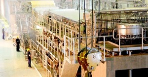 Preocupa al sector empresarial la sostenibilidad de la Caja Fiscal - Portal Digital Cáritas Universidad Católica