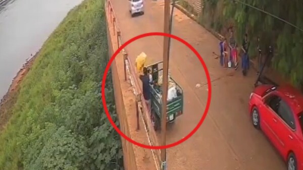 En Ciudad del Este buscan "castigo ejemplar" para puercos