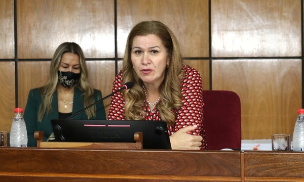 Barán y Brítez no acudieron al Congreso para explicar observaciones de la Contraloría - OviedoPress