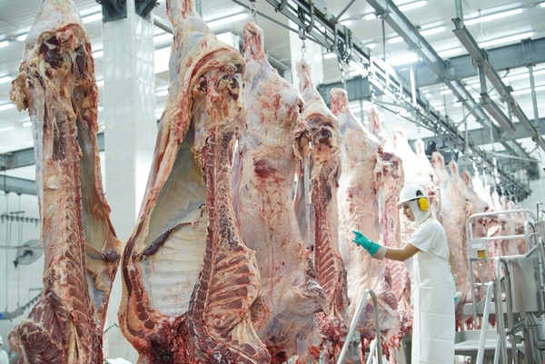 Exportación de carne a Dubái, mercados ganaderos y momento histórico para la ganadería en Argentina