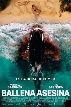 Ballena asesina - Cine y TV - ABC Color